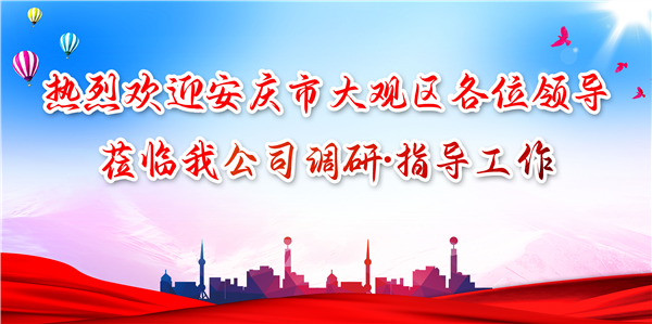 安慶市大觀區領導蒞臨我公司調研工作，為發展注入新動力